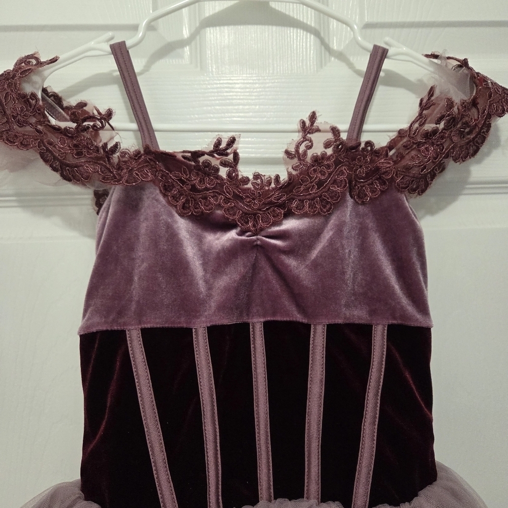 Revolution Dancewear Stretch Velvet floral-embroidered tulle Ballet Dress - Picture 5 of 10